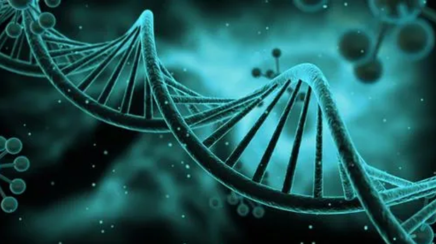 生物技術翻譯需要關注哪些要點？