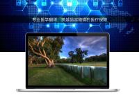 專業(yè)醫(yī)學(xué)翻譯:跨越語言障礙的醫(yī)療保障